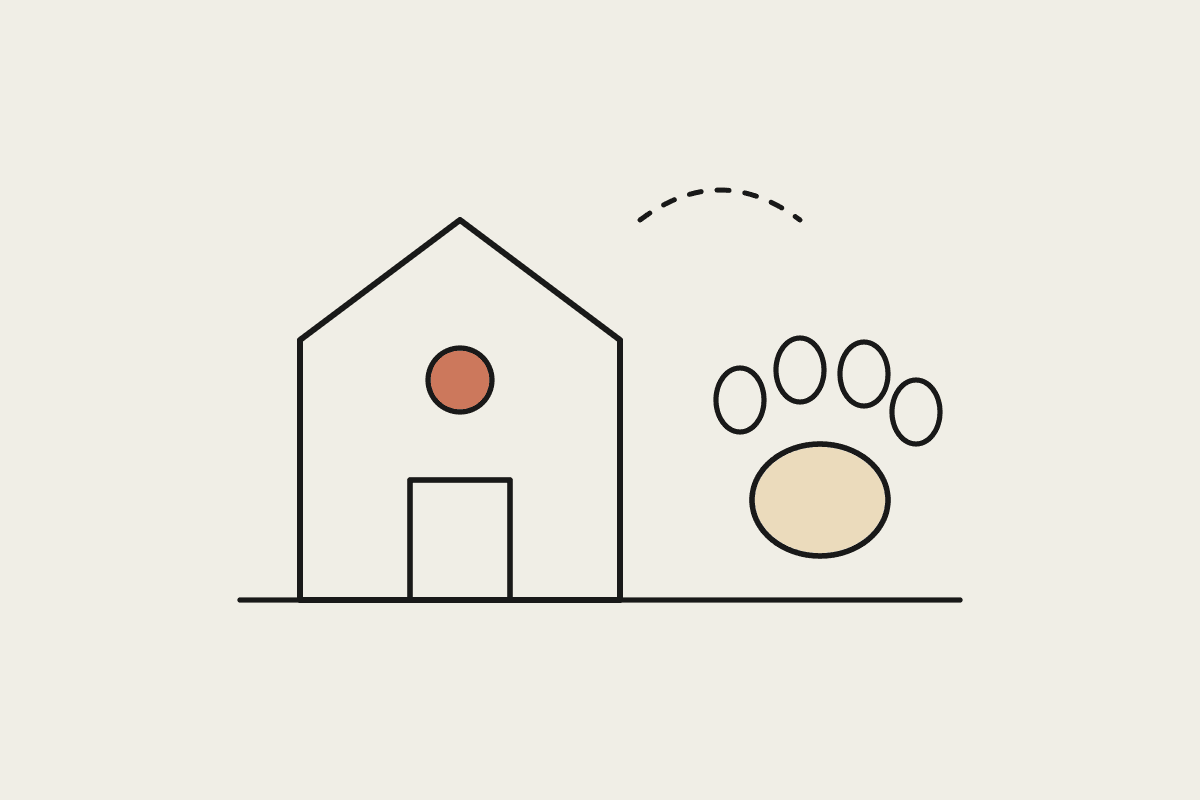 A simple clinic building with a highlighted window beside a large paw print, linked by a dotted line